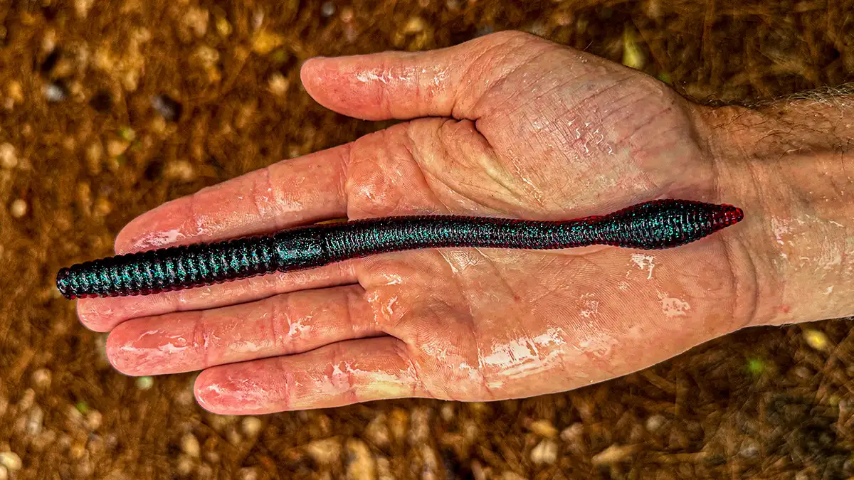 Strike King Bull Worm Review - Wired2Fish