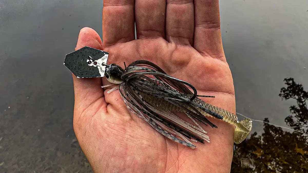 ChatterBait with a Rage Swimmer
