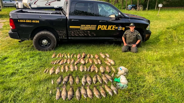 NYECOs Bust Four Anglers for Netting Smallmouth and Transporting in Backpacks