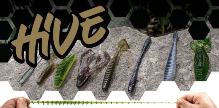 Lunkerhunt “The HIVE is Buzzing” Giveaway Winners
