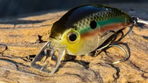 Bill Lewis ATV Squarebill Crankbait Review