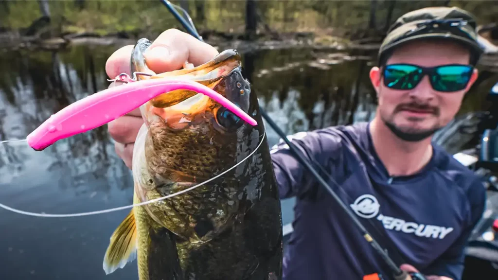4 Tips for Fluke Fishing Ultra-Shallow Water - Wired2Fish