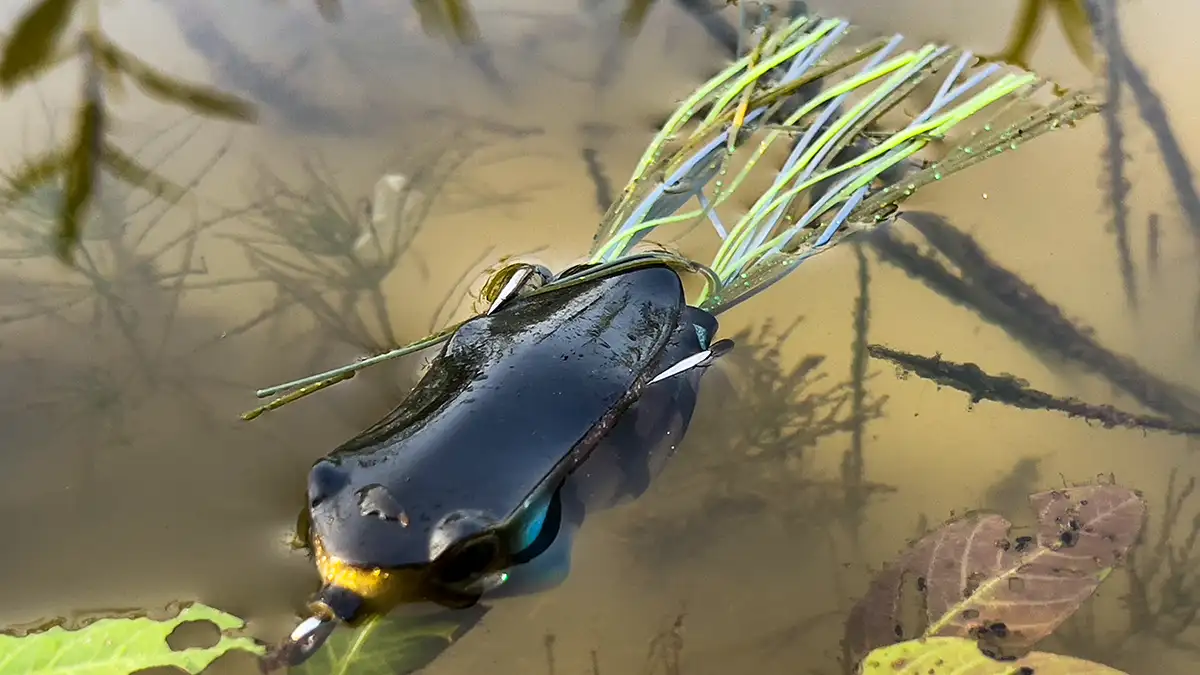 Fishing Frog Baits
