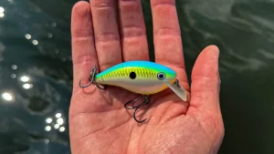 Rapala OG Rocco 5 Review