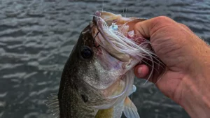 Big Hair Jigs for Summer Bass