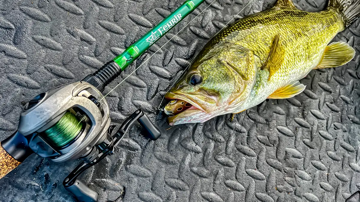 SixGill Fenrir Casting Rod Review - Wired2Fish