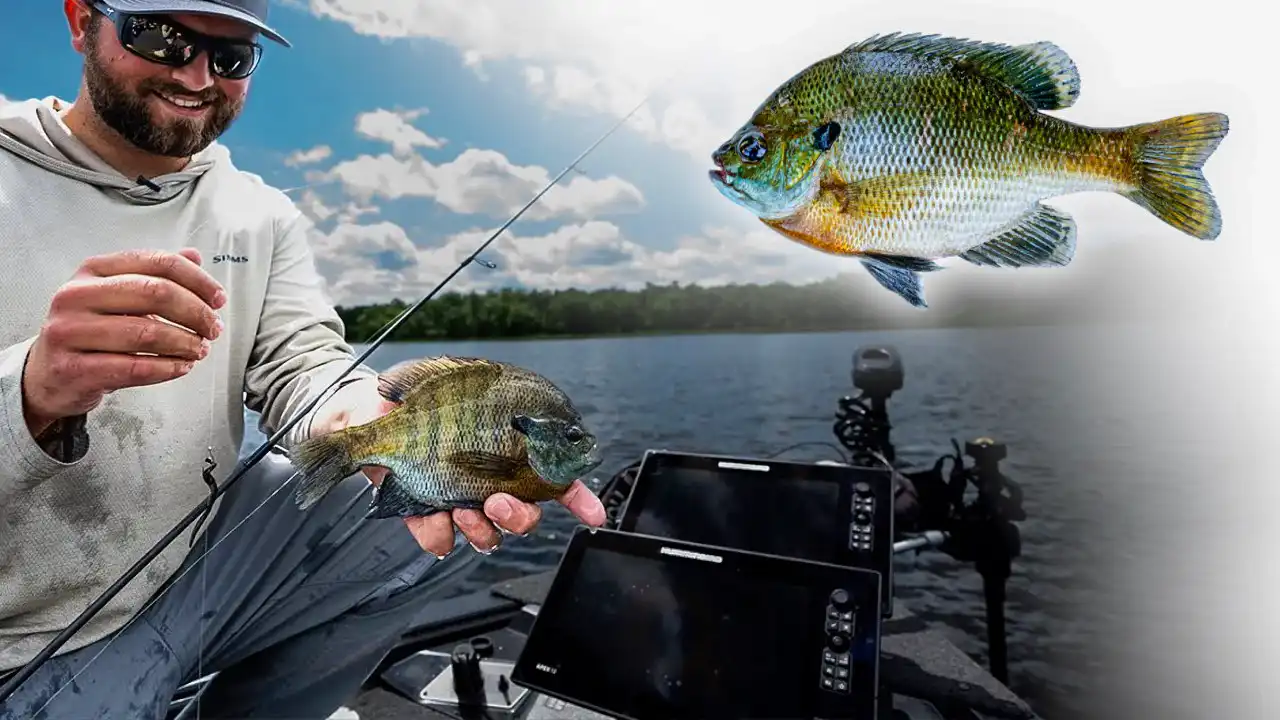 bluegill-fishing-with-technology