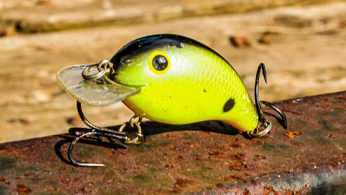 go small in the summer with square bill crankbaits