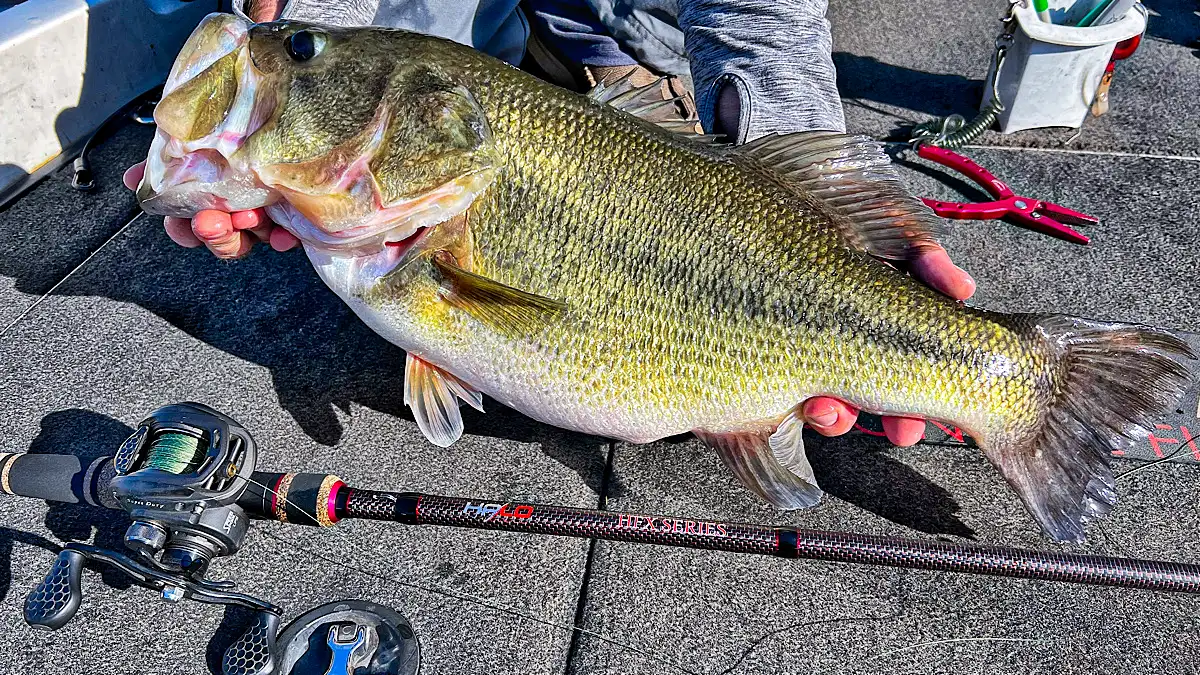 How to Choose Bass Fishing Line - Wired2Fish