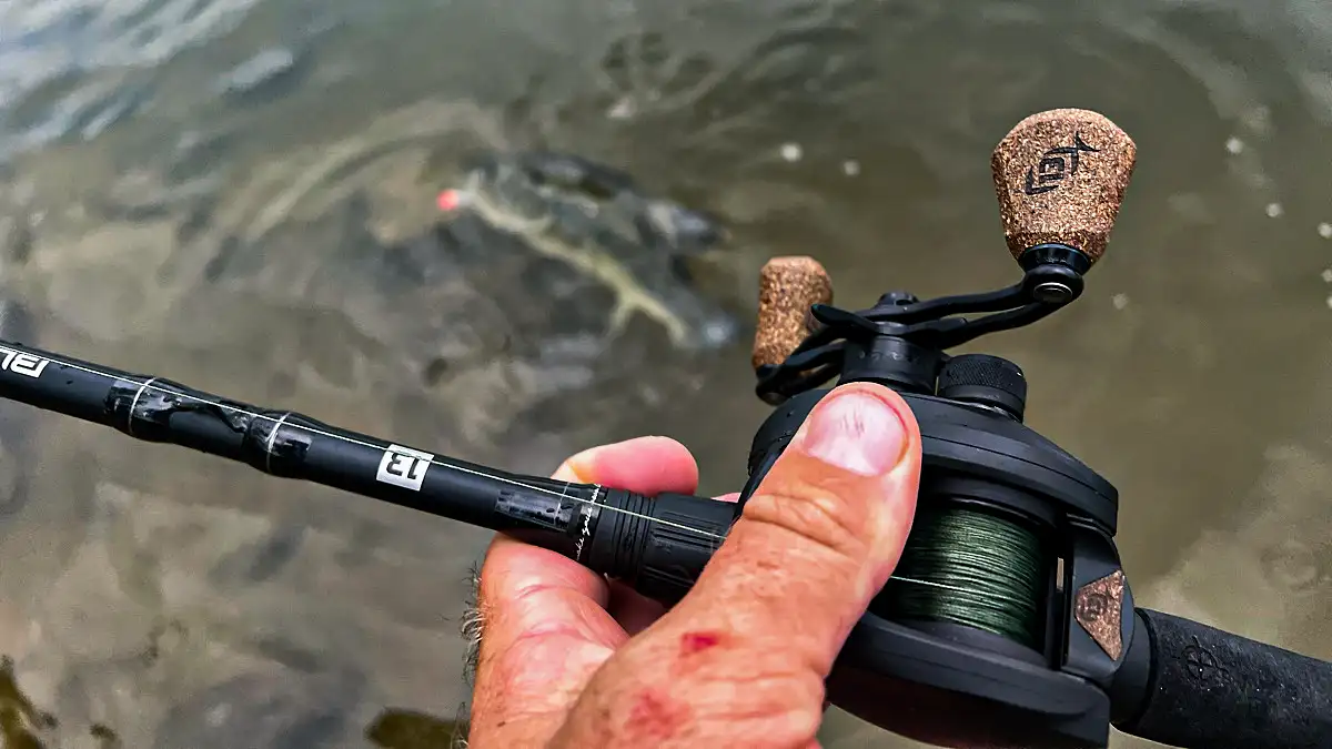 Topwater Bass Fishing Gear  How to Choose - Wired2Fish