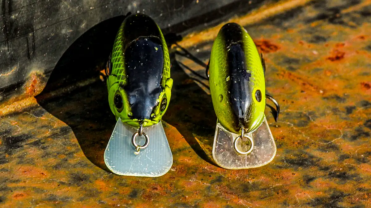 winter and summer similarities for square bill crankbaits