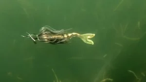 ChatterBait Fishing Grass: Howell’s Summer Technique