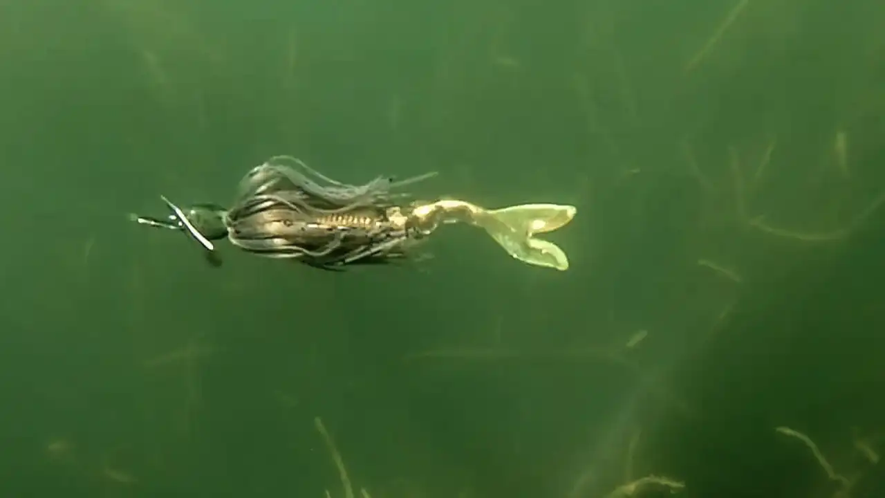 Chatterbait-Fishing-Grass