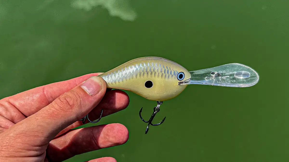 Rapala DT-20 Review - Wired2Fish