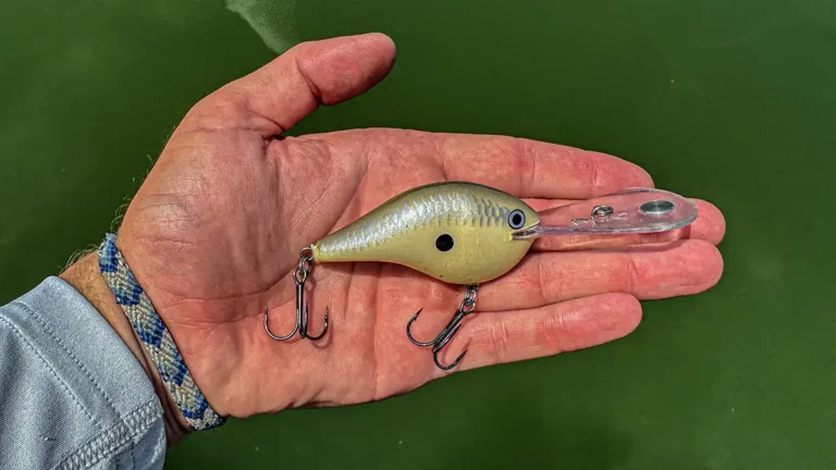 Rapala DT-20 Review