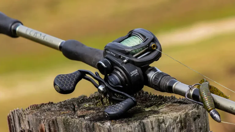 What to Consider When Buying a Casting Reel