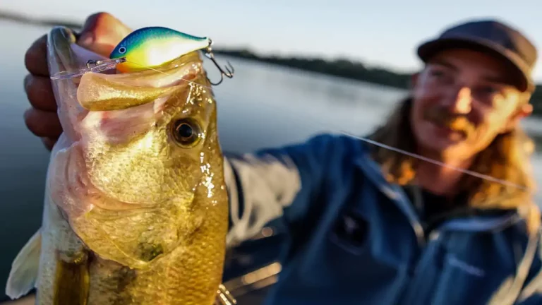 How to Fish Crankbaits in Weeds with Seth Feider