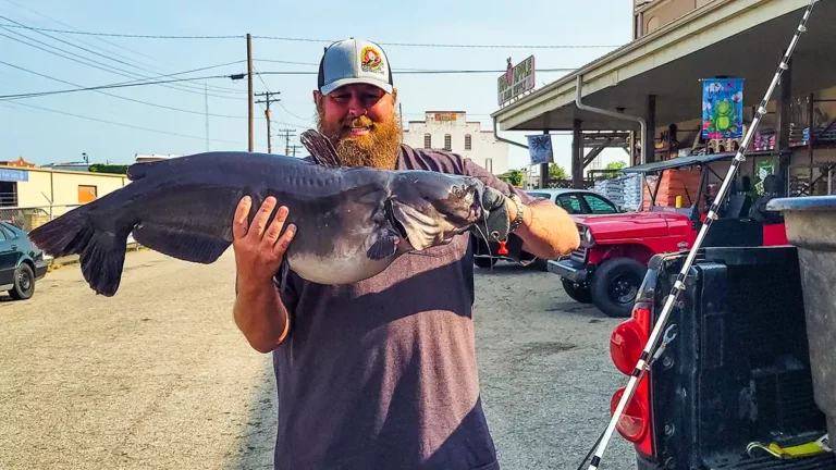 NC Angler Channel Catfish Record Certified