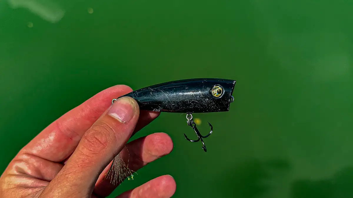 Topwater Poppers for Summertime Largemouth - Wired2Fish