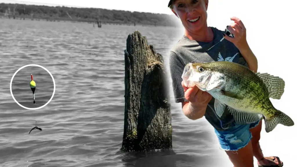 How to Catch Crappies on Jigs Around Trees - Wired2Fish