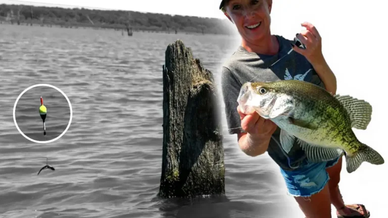 Tips for Slip Bobber Fishing for Crappies in Timber
