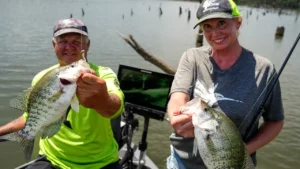 How to Catch Crappies in Standing Timber on Truman Lake