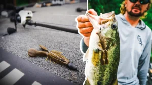 Mastering the Art of Flipping for Bass with Kyle Welcher