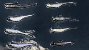 The Great Jig and Minnow Migration in Bass Fishing