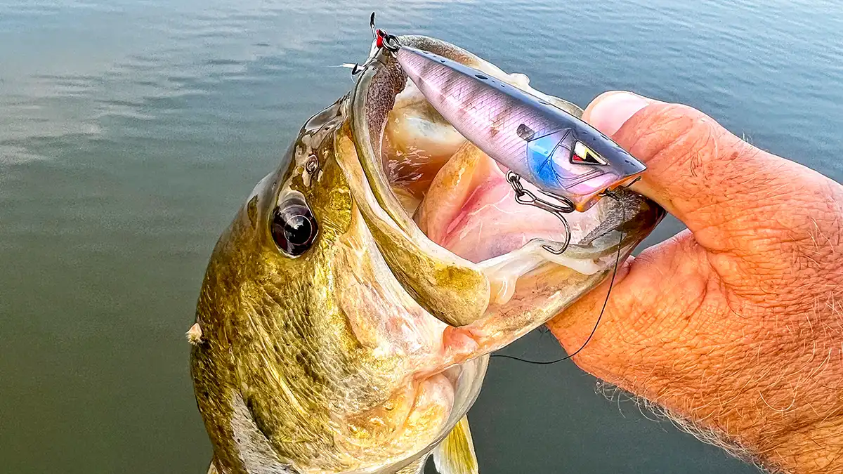 How to Fish Wakebaits for Fall Bass - Wired2Fish