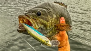Best Smallmouth Bass Lures of 2023