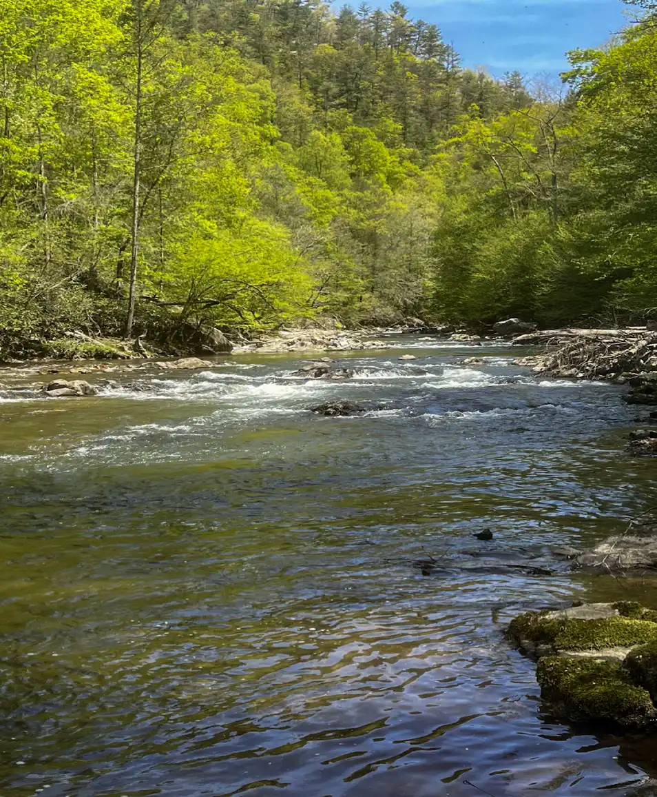 best summer trout locations