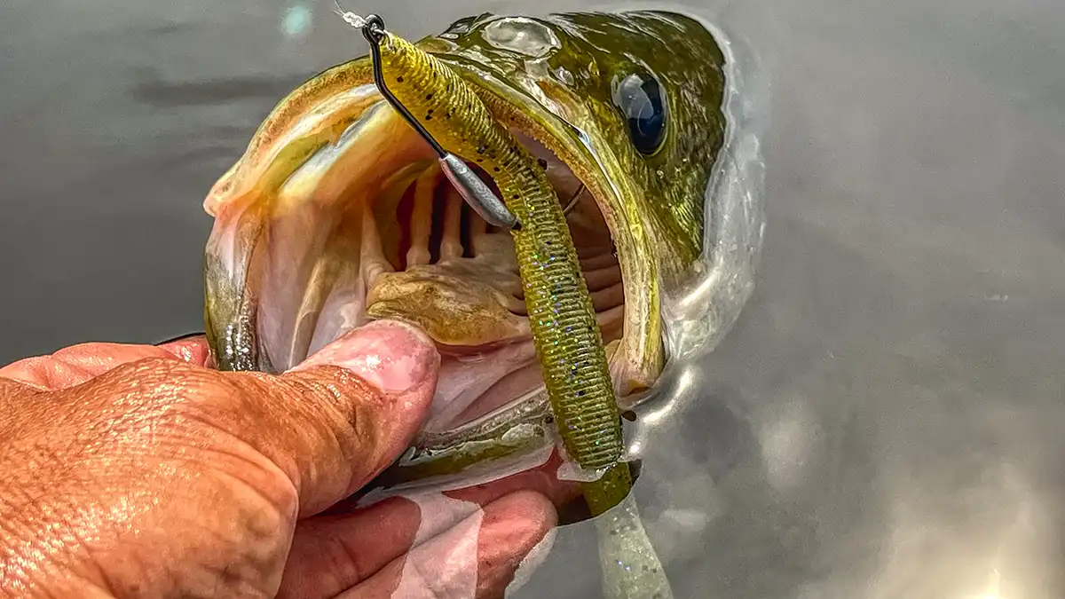 Perfection Lures David Dudley's Wacky Worm Giveaway Winners - Wired2Fish