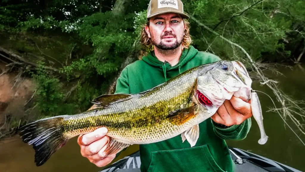 Mastering the Weedless Swimbait with Kyle Welcher - Wired2Fish