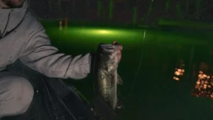 Fishing Green Lights for Fall Bass