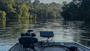 Summer Smallmouth in Shallow Rivers