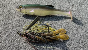 Swimbait vs. Swim Jig