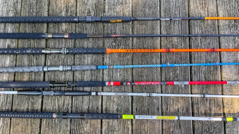 Best Catfish Rods | A Guide To Choosing the Right Rod