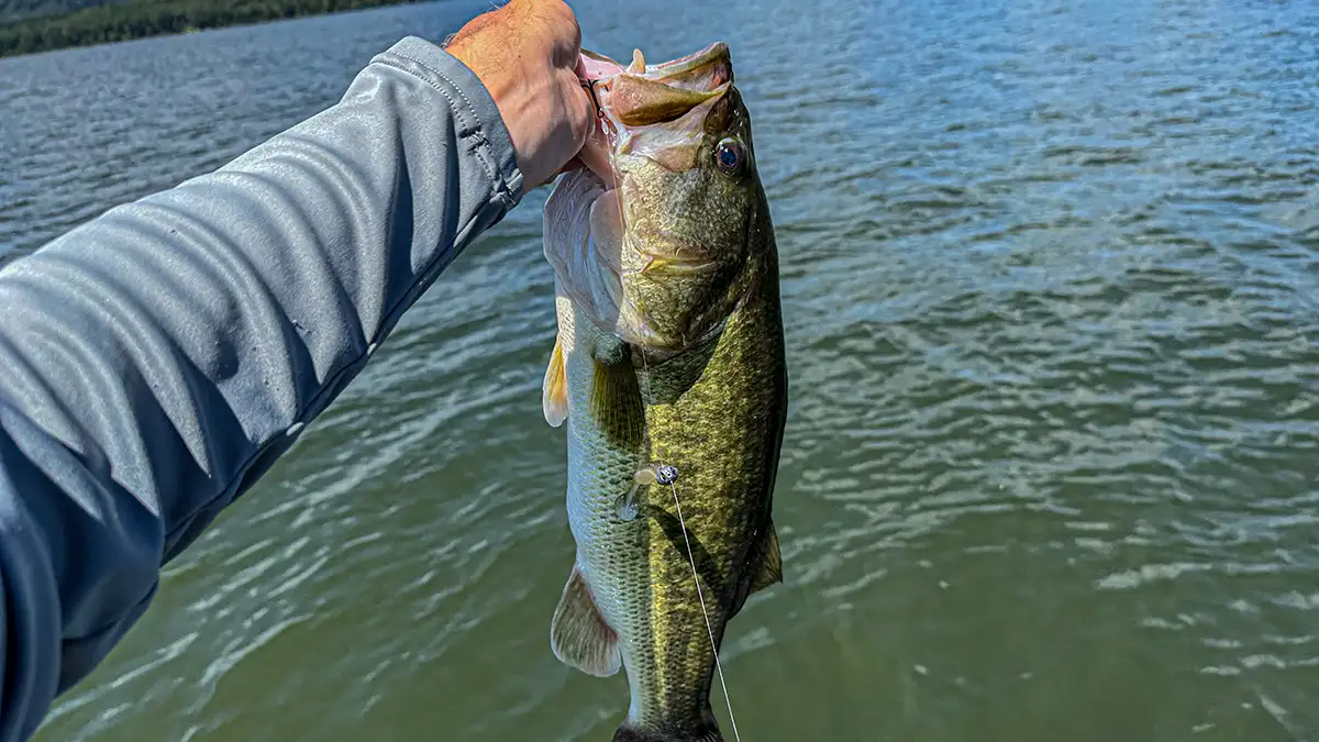 Alabama Fishing