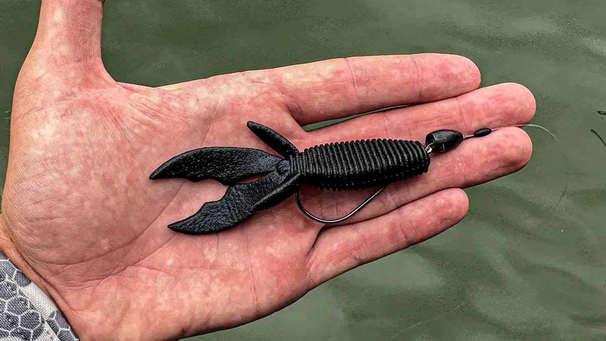 5 Best Fall Flipping Tips for Bass - Wired2Fish