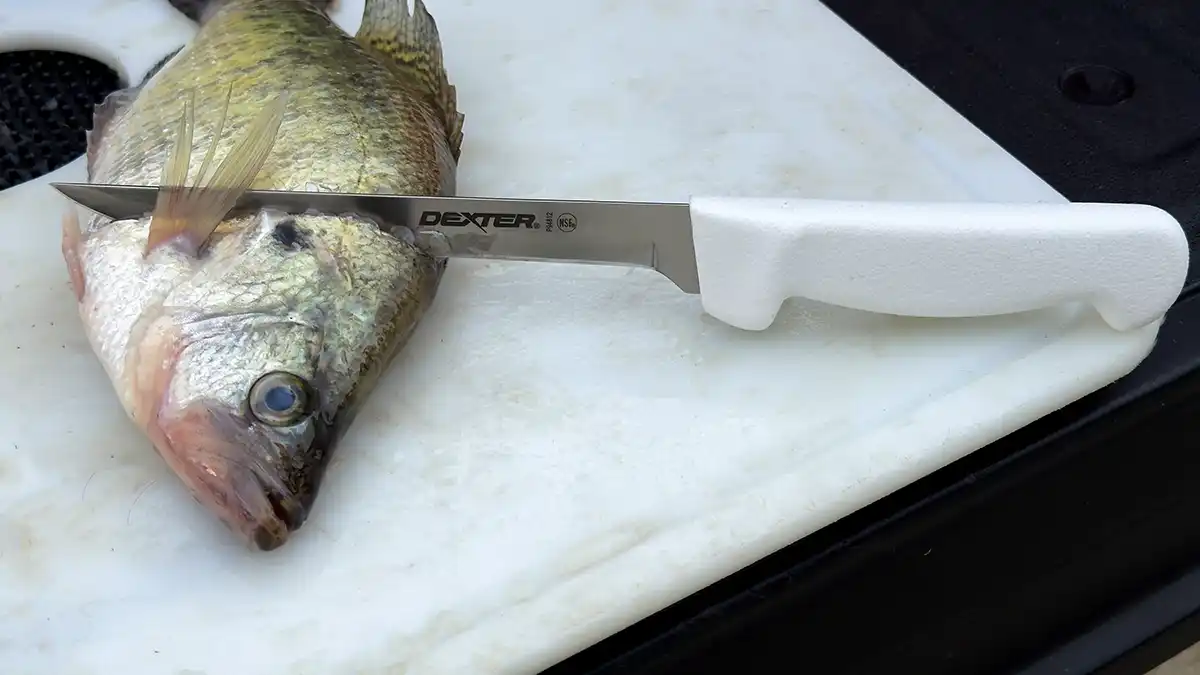 Best Fish Fillet Knife Has Moldable Handle — Ron Spomer Outdoors