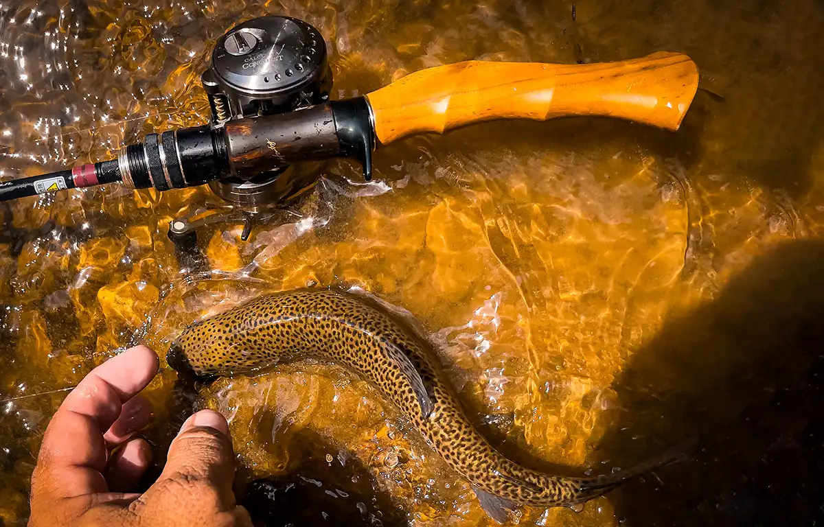 hunting huntsman trout stream