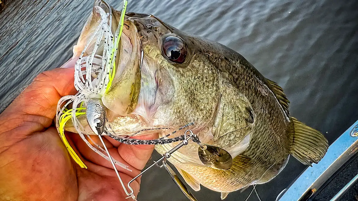 Catalyst Double Willow - Nichols Lures