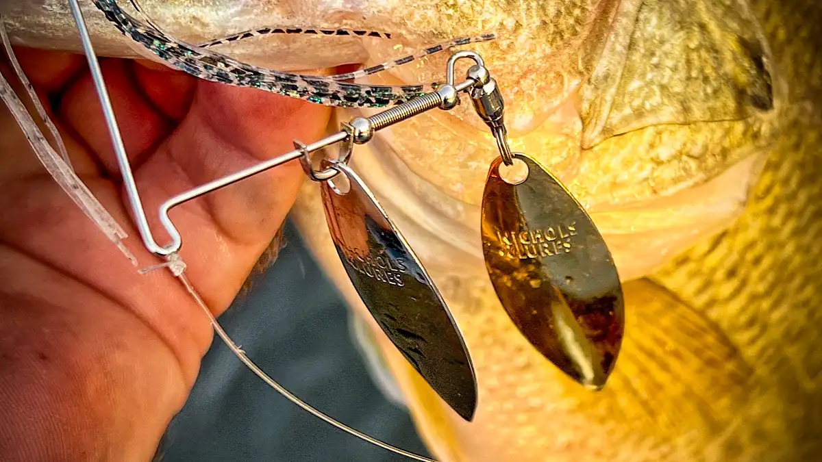 Nichols Catalyst Spinnerbait Review - Wired2Fish