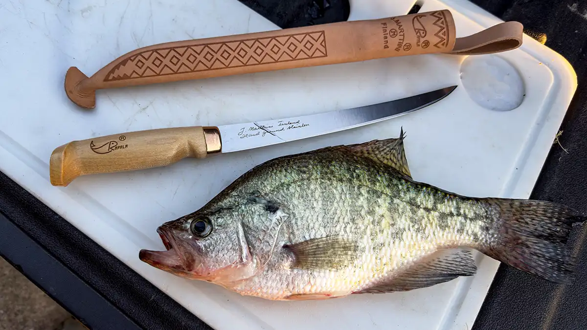 rapala fish-n-fillet knife classic