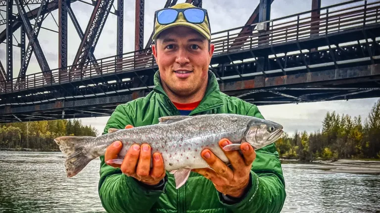 Trout Fishing Alaska | A Do-It-Yourself Guide