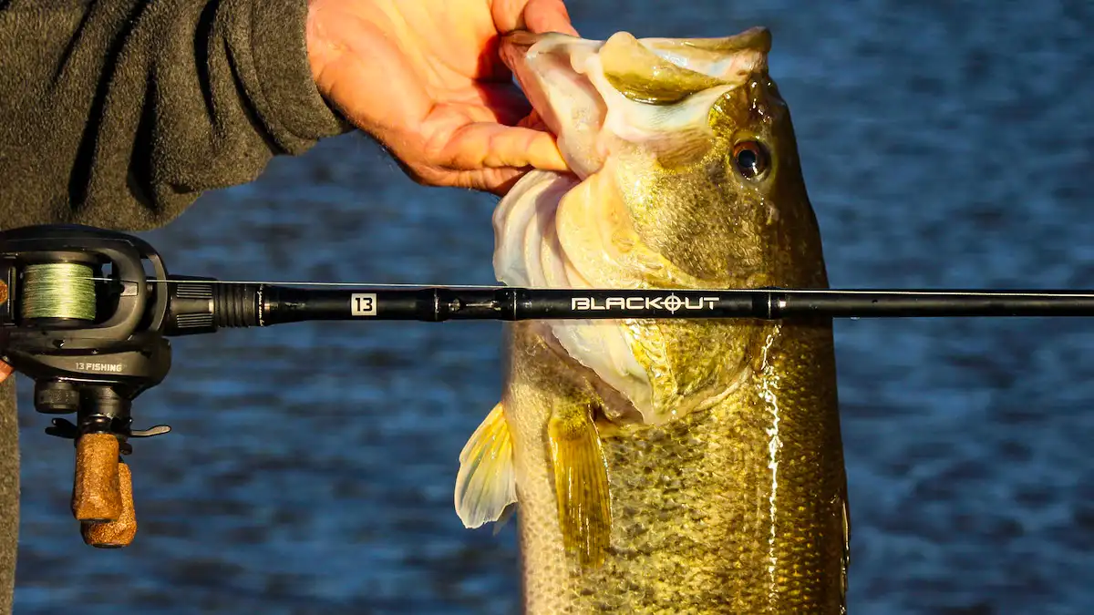 Should I Be Upset With P-Line Floroclear? - Fishing Rods, Reels