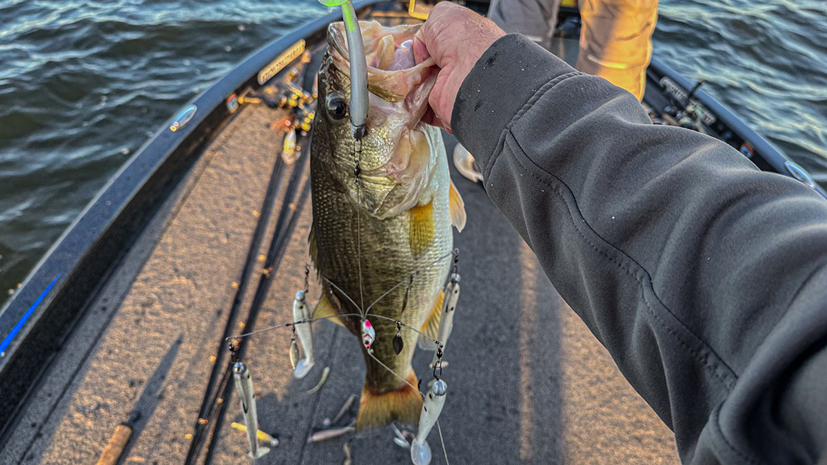 Best Bass Fishing Lines - Wired2Fish