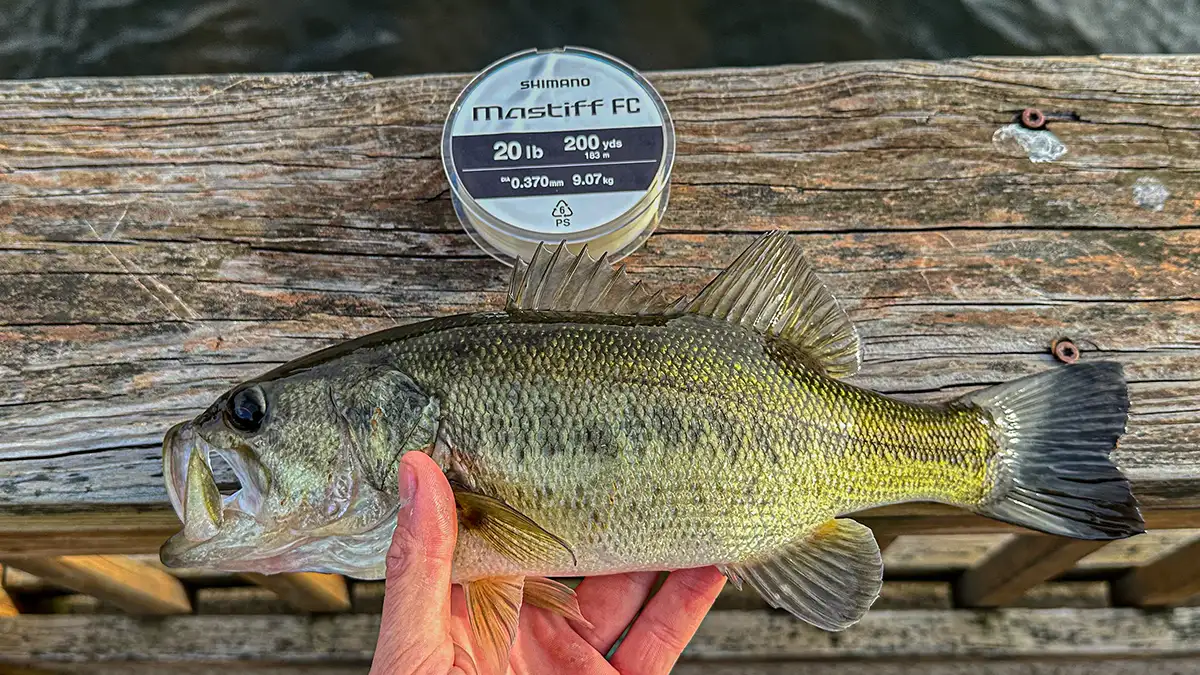 Shimano Mastiff FC Fluorocarbon Review - Wired2Fish