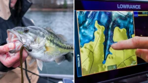The Ditch Connection for Winter Bass | Location and Lures