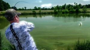 Pond Bass Fishing Insights with Stephen Browning